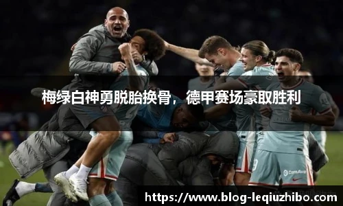 乐球体育直播